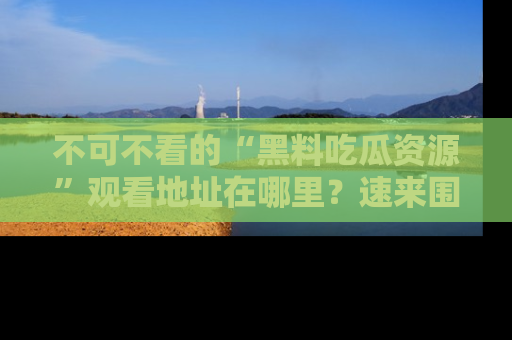不可不看的“黑料吃瓜资源”观看地址在哪里？速来围观吧！