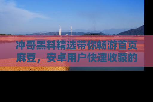 冲哥黑料精选带你畅游首页麻豆，安卓用户快速收藏的秘密武器！