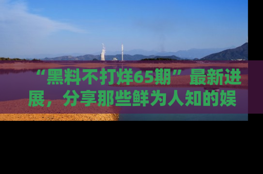 “黑料不打烊65期”最新进展，分享那些鲜为人知的娱乐八卦