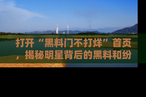 打开“黑料门不打烊”首页，揭秘明星背后的黑料和纷争真相！