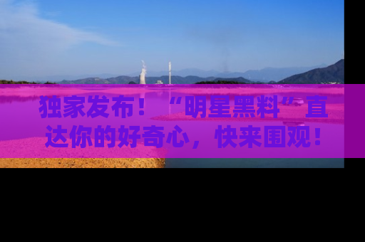 独家发布！“明星黑料”直达你的好奇心，快来围观！