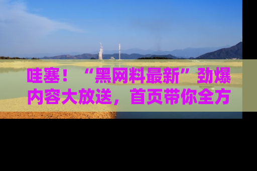 哇塞！“黑网料最新”劲爆内容大放送，首页带你全方位了解哦，小可爱们