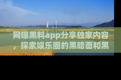 网曝黑料app分享独家内容，探索娱乐圈的黑暗面和黑料