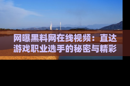 网曝黑料网在线视频：直达游戏职业选手的秘密与精彩动漫片段！