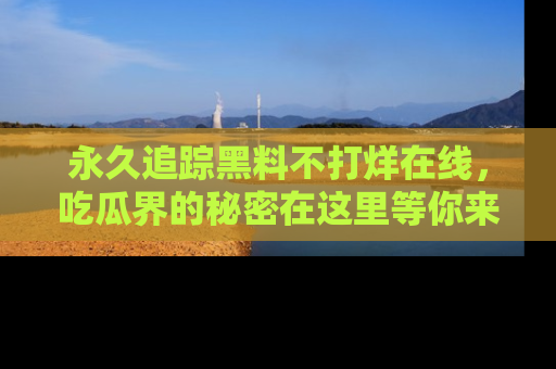 永久追踪黑料不打烊在线,吃瓜界的秘密在这里等你来发现!