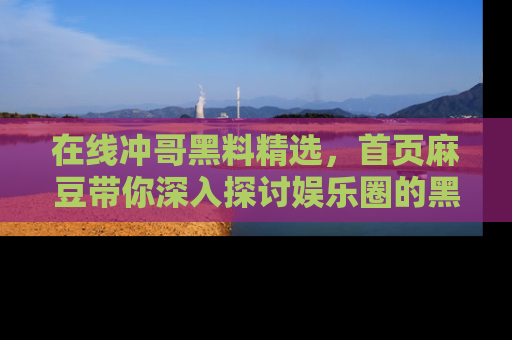 在线冲哥黑料精选,首页麻豆带你深入探讨娱乐圈的黑暗面