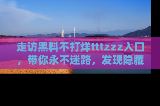走访黑料不打烊tttzzz入口,带你永不迷路,发现隐藏的黑幕