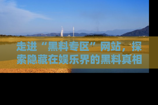 走进“黑料专区”网站,探索隐藏在娱乐界的黑料真相